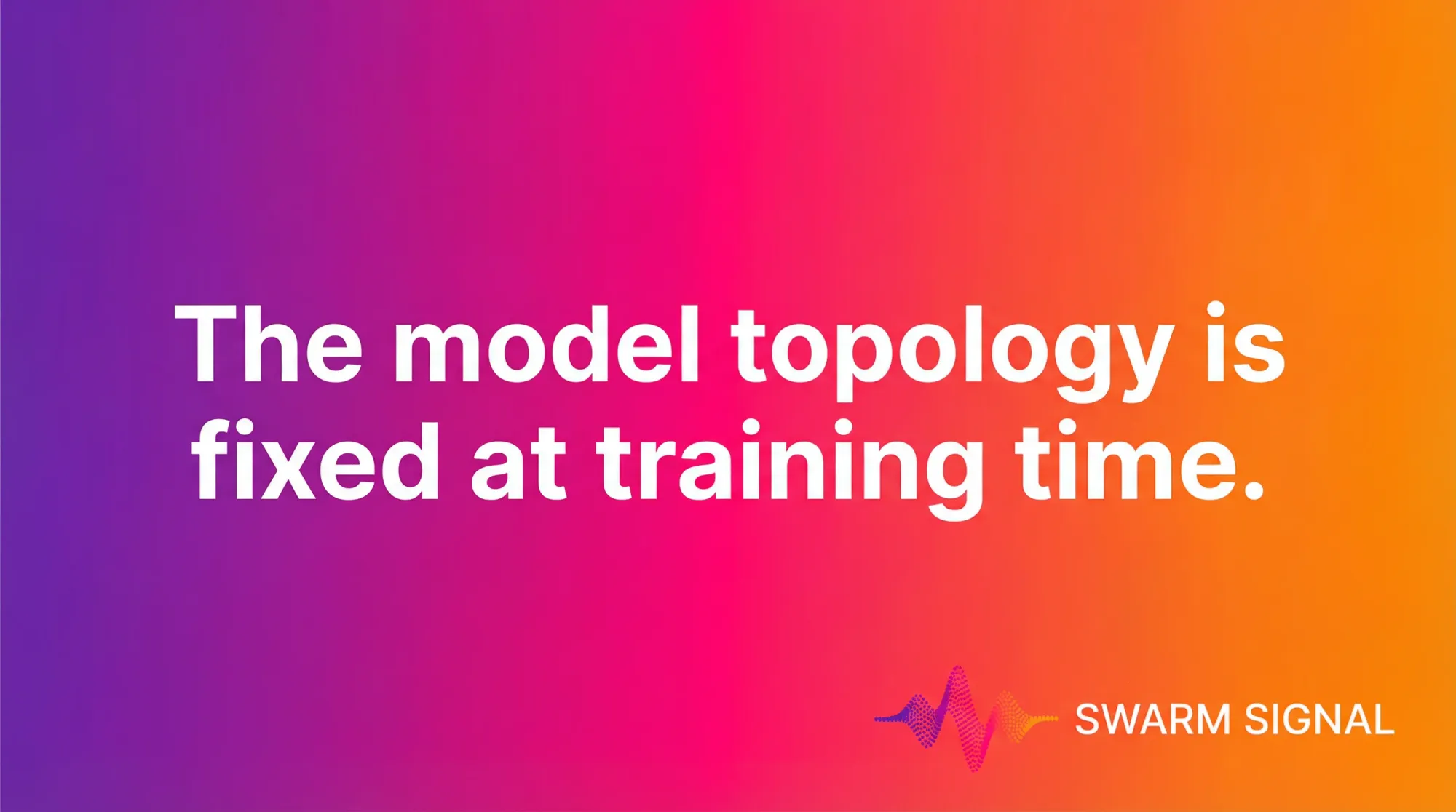 The model topology is fixed at training time.